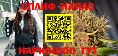 прущие грибы Волжский
