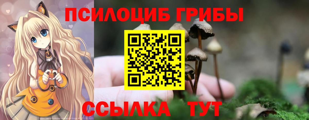 Псилоцибиновые грибы ЛСД Балабаново